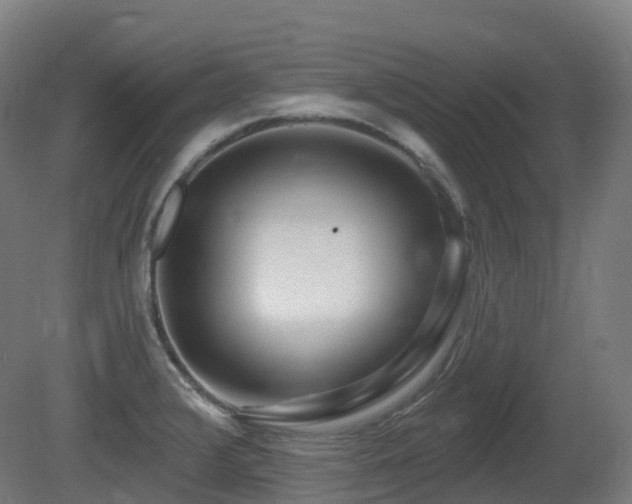 X0000081421376200701121224