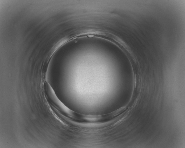 X0000081421377200701121224