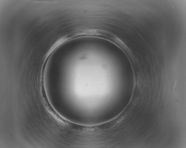 X0000081421378200701121224
