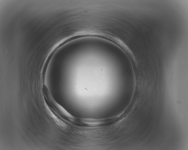 X0000081421380200701121224