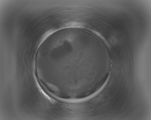 X0000081421383200701121224