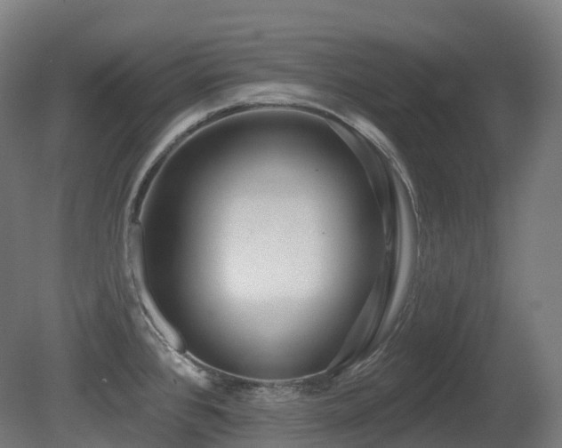 X0000081421384200701121224