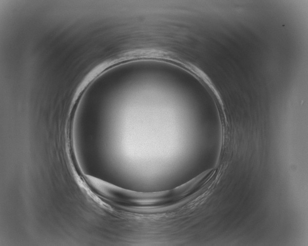 X0000081421389200701121224