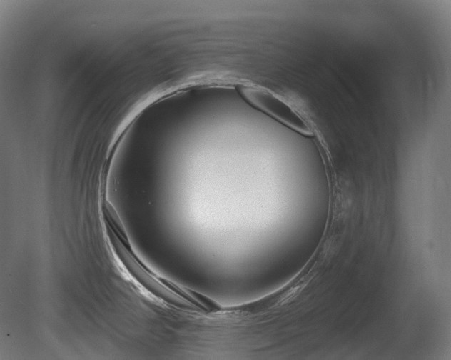 X0000081421390200701121224