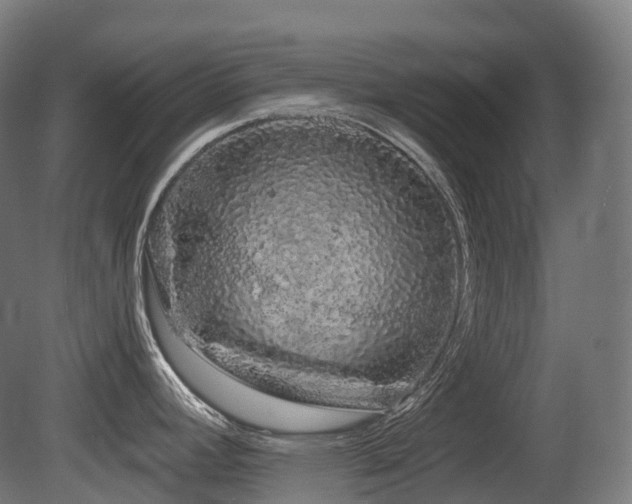 X0000081421392200701121224