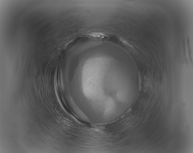 X0000081421394200701121223