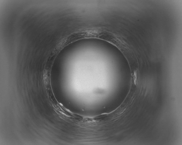 X0000081421395200701121223