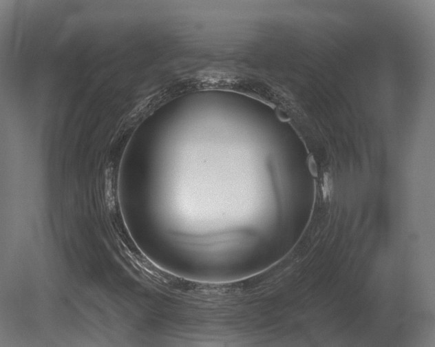 X0000081421396200701121223