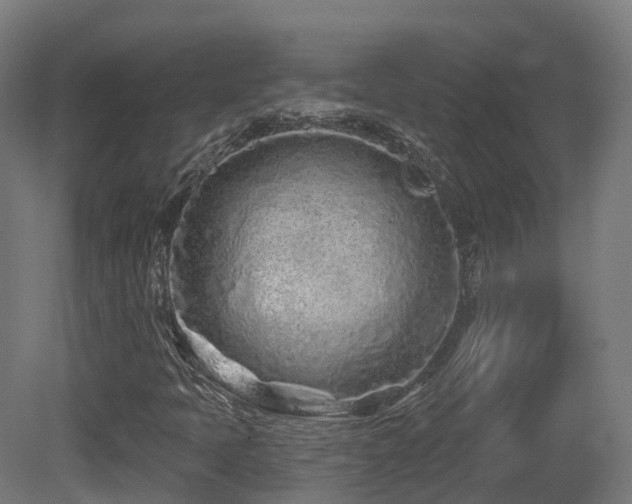 X0000081421397200701121223