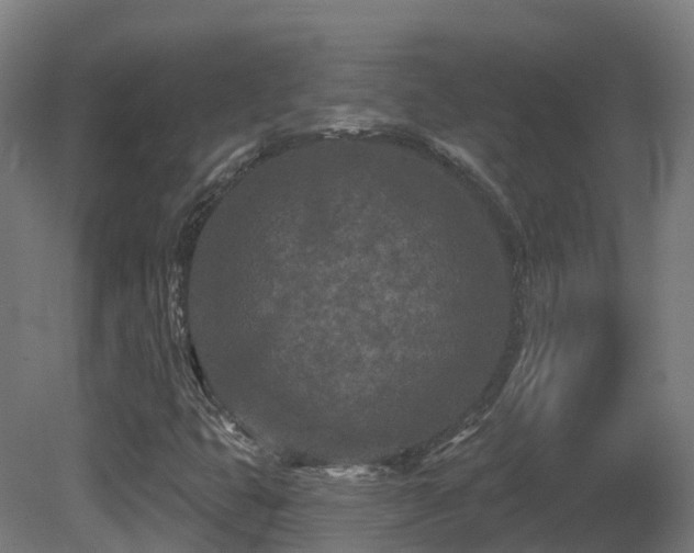 X0000081421399200701121223