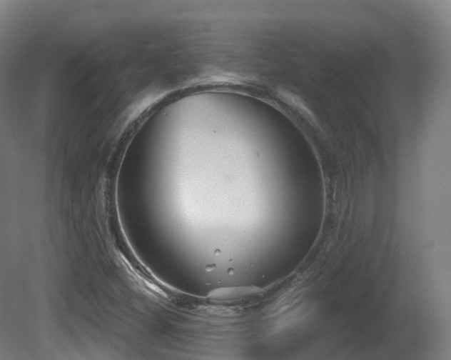 X0000081421404200701121223