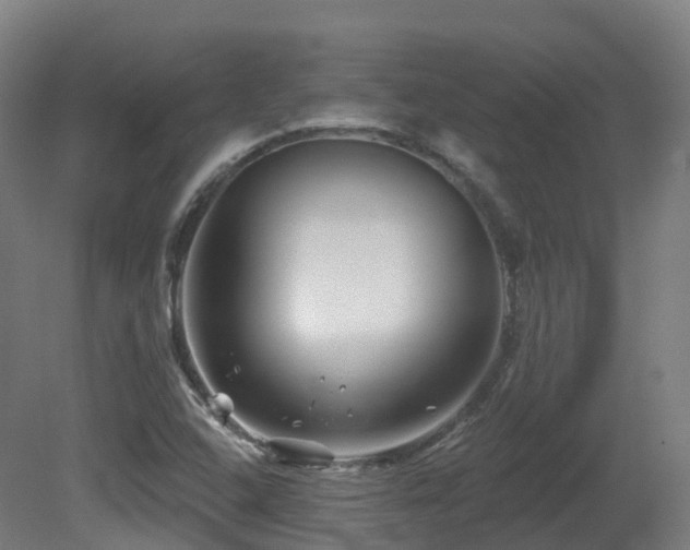 X0000081421408200701121223