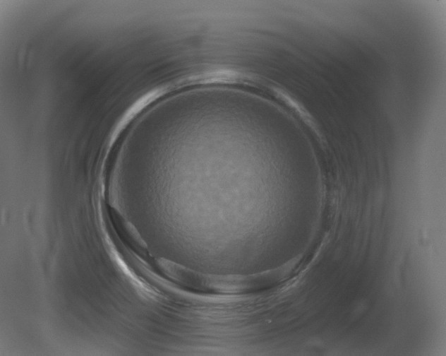X0000081421418200701121223