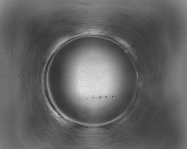X0000081421423200701121223