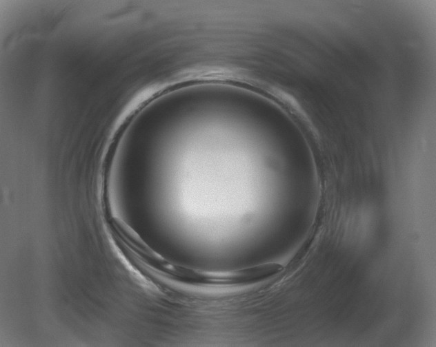 X0000081421424200701121223