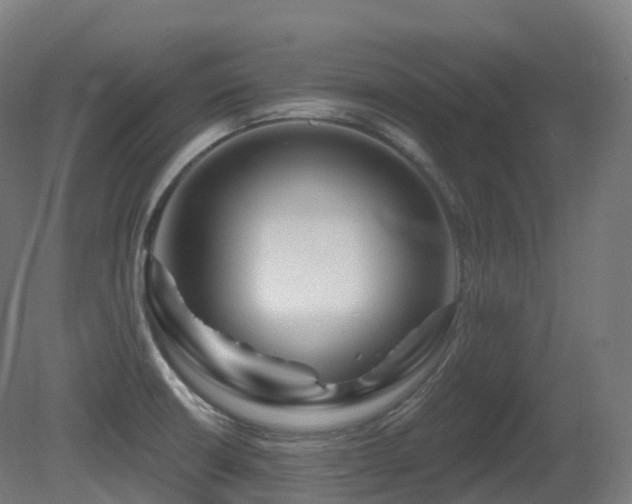 X0000081421426200701121223