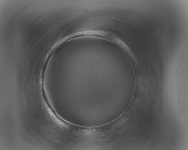 X0000081421428200701121223
