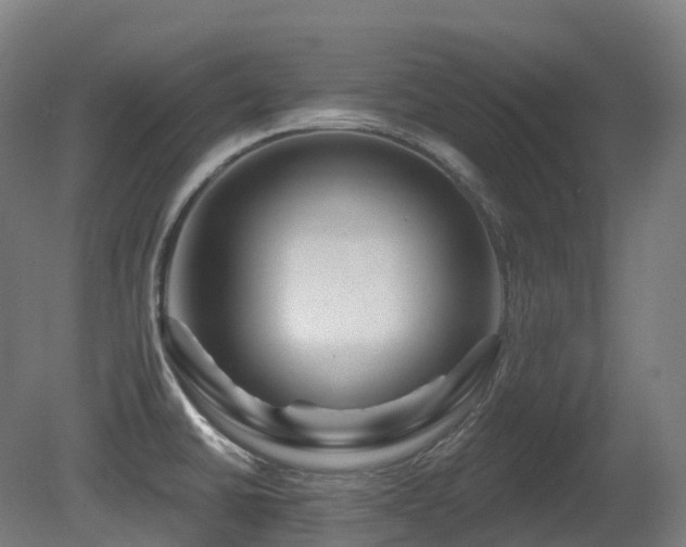 X0000081421430200701121224