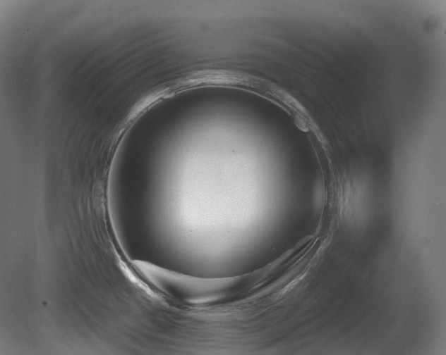 X0000081421433200701121224