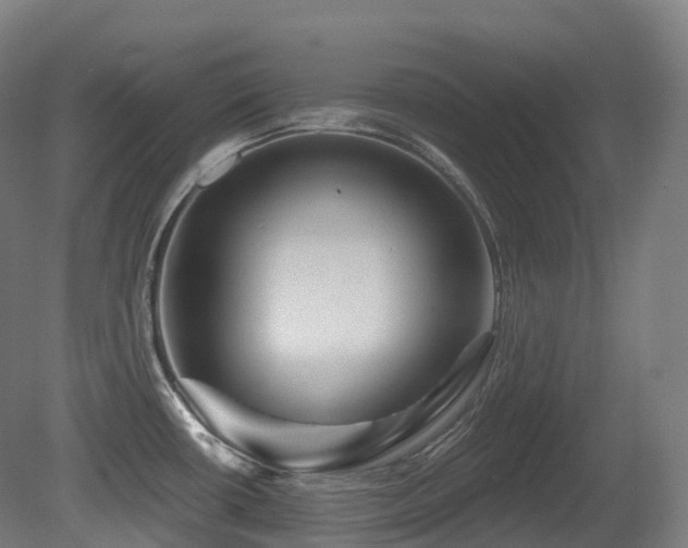 X0000081421434200701121224