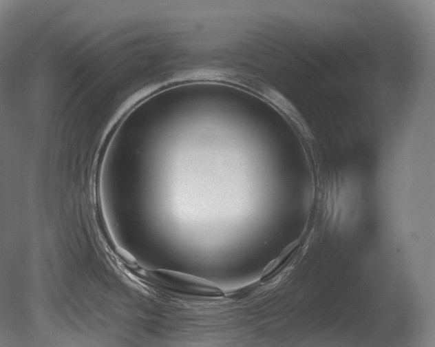 X0000081421436200701121224
