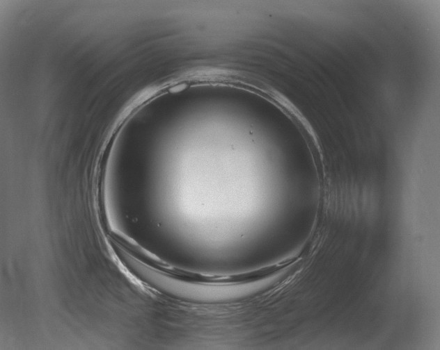 X0000081421437200701121224