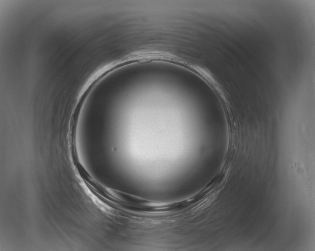 X0000081421438200701121224