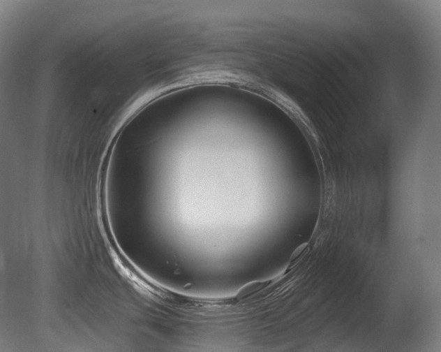 X0000081421439200701121224