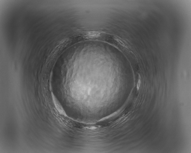 X0000081421441200701121223