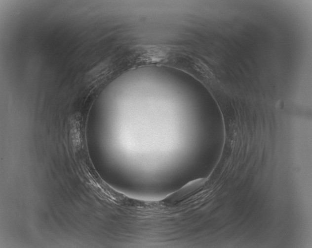 X0000081421442200701121223