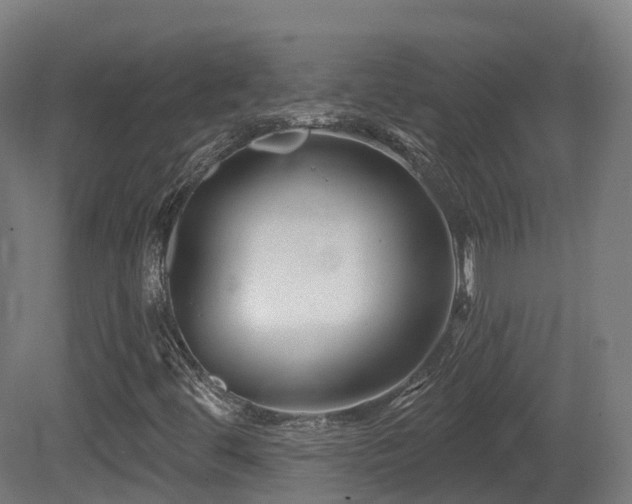X0000081421444200701121223