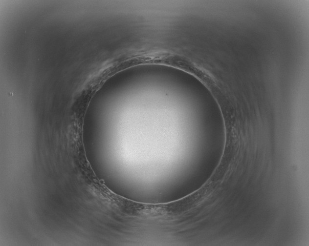 X0000081421447200701121223