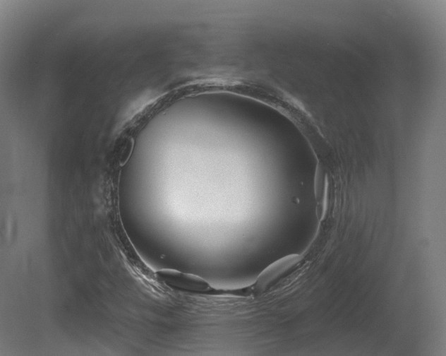 X0000081421448200701121223
