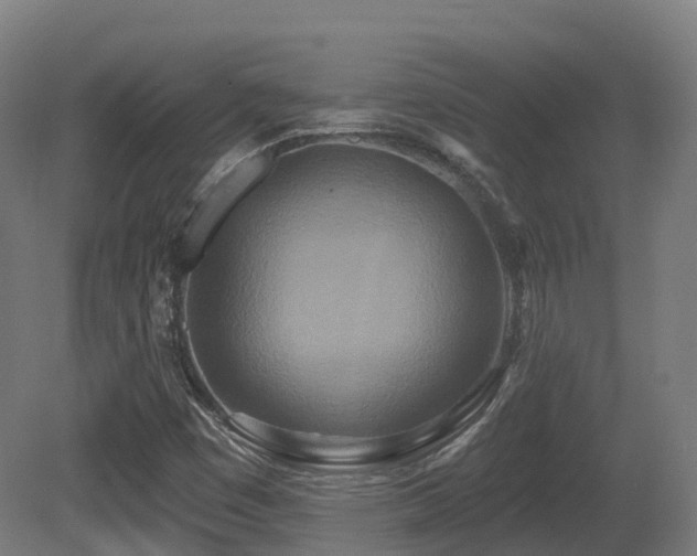 X0000081421449200701121223