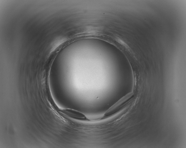 X0000081421450200701121223
