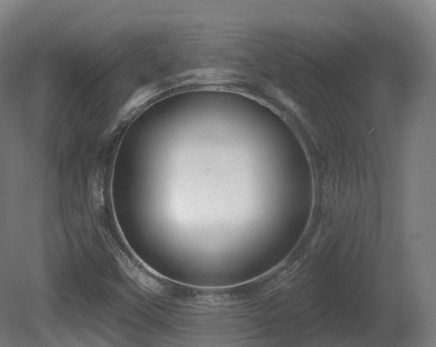 X0000081421451200701121223