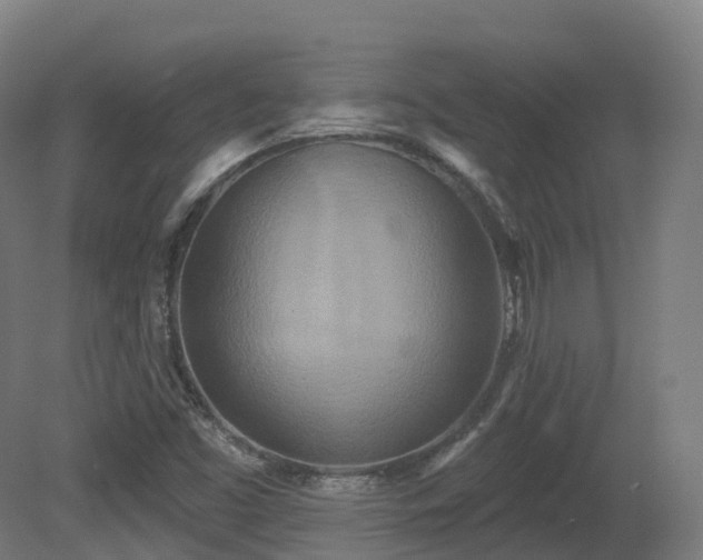 X0000081421453200701121223