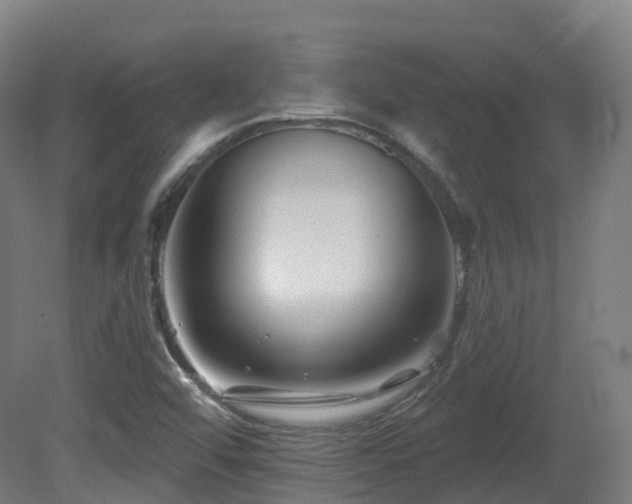 X0000081421456200701121223