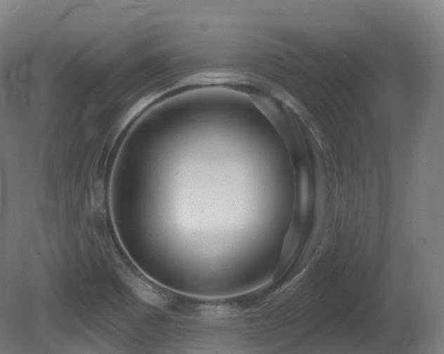 X0000081421465200701121222