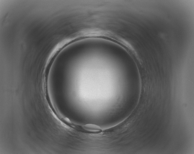 X0000081421472200701121222