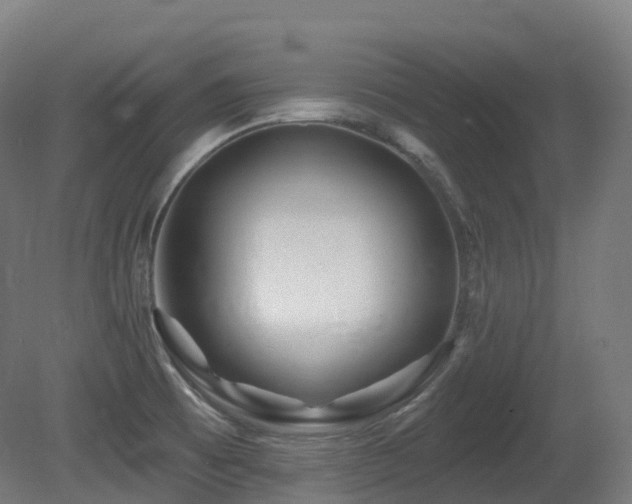 X0000081421473200701121222