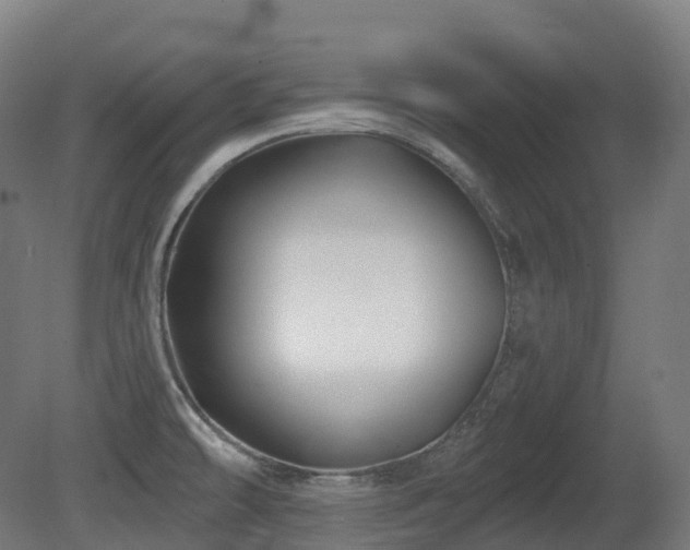 X0000081421478200701121222
