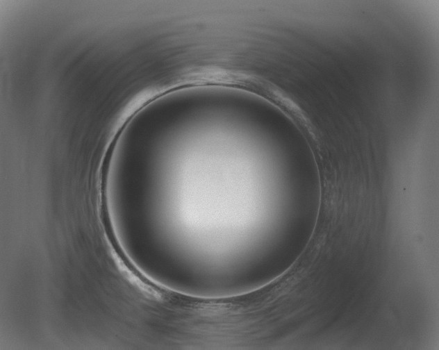 X0000081421479200701121222