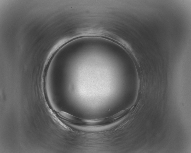 X0000081421480200701121222