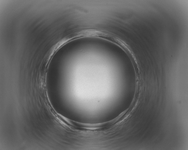 X0000081421481200701121222