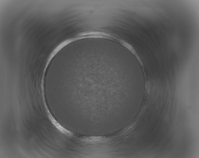 X0000081421482200701121222