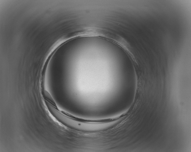 X0000081421484200701121222