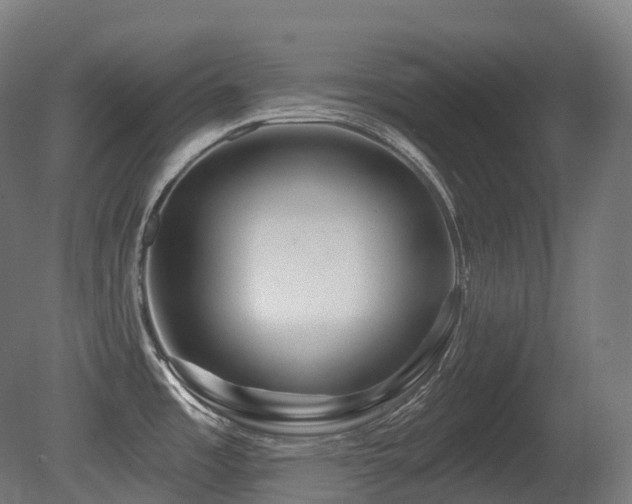 X0000081421485200701121222