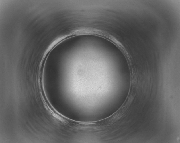 X0000081421486200701121222