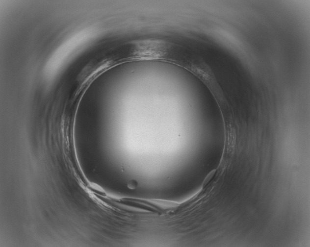 X0000081421487200701121222
